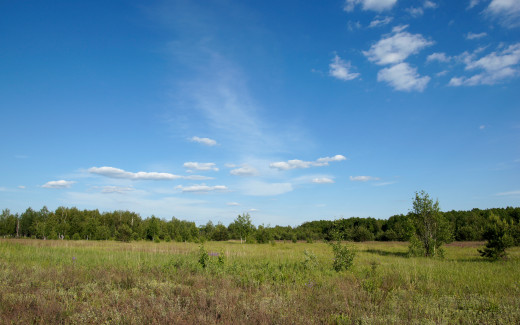 626915 (a): :2560x1600